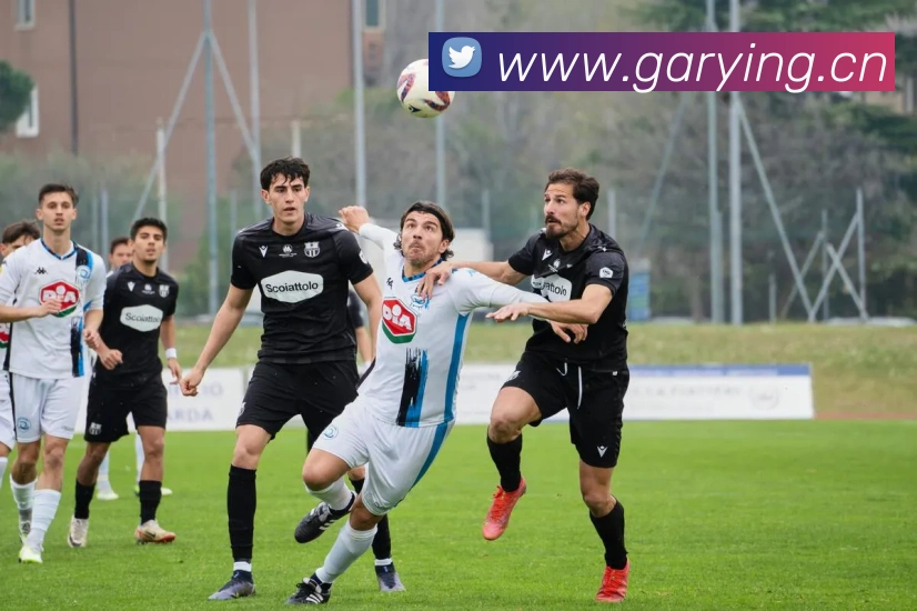 华体网首页官网服务体系